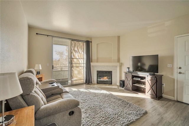 living room featuring light hardwood / wood-style flooring