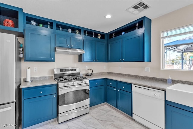 kitchen with blue cabinets, stainless steel appliances, and sink