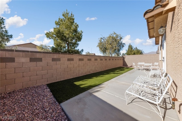 view of yard featuring a patio