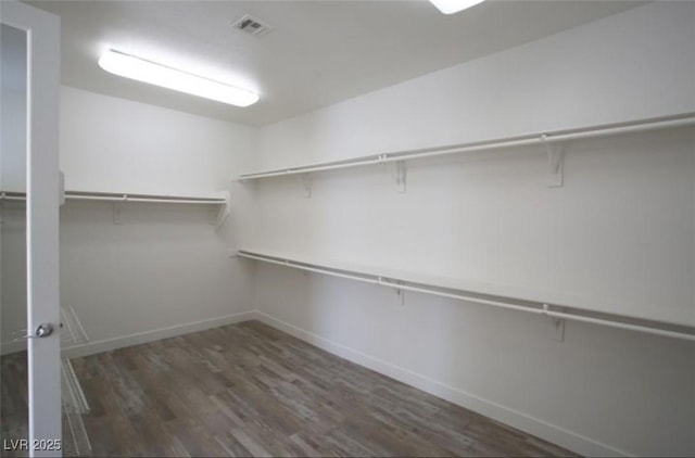 walk in closet featuring dark hardwood / wood-style floors