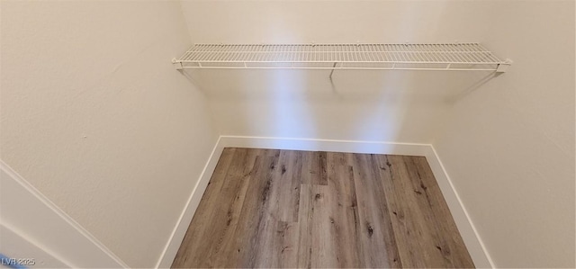 spacious closet with hardwood / wood-style floors