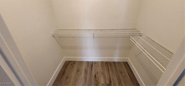 spacious closet featuring dark wood-type flooring