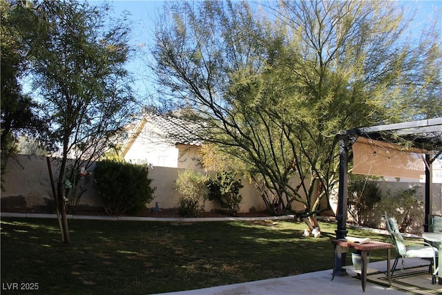 view of yard with a patio area