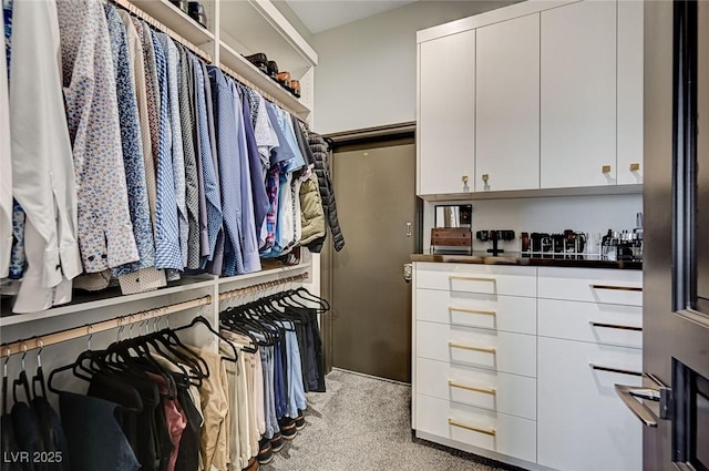 spacious closet featuring light carpet