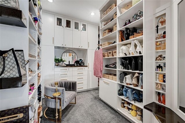 spacious closet with carpet