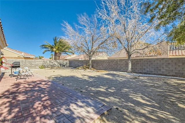 view of yard with a patio