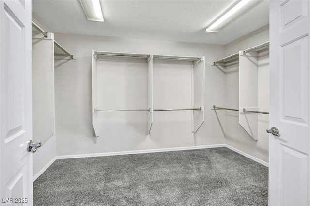 spacious closet featuring dark colored carpet