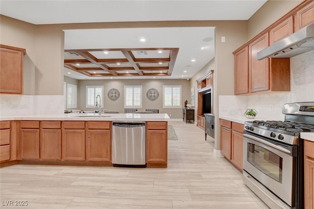 kitchen featuring appliances with stainless steel finishes, kitchen peninsula, plenty of natural light, and sink