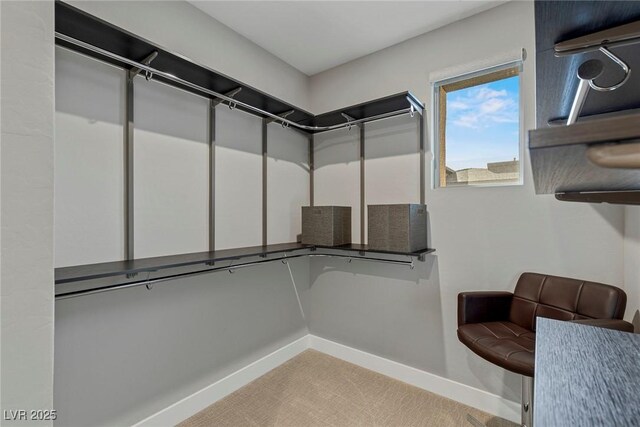 spacious closet featuring light colored carpet