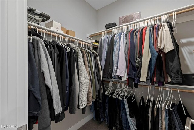 spacious closet with carpet