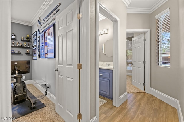 hallway featuring light wood-type flooring, crown molding, and plenty of natural light