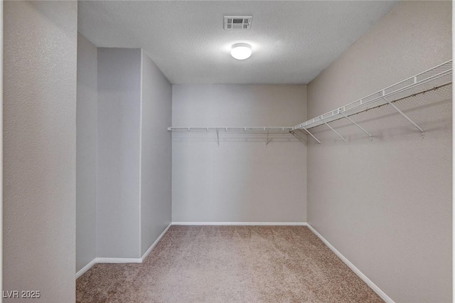 walk in closet featuring carpet flooring