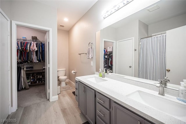 bathroom with toilet, vanity, and hardwood / wood-style flooring