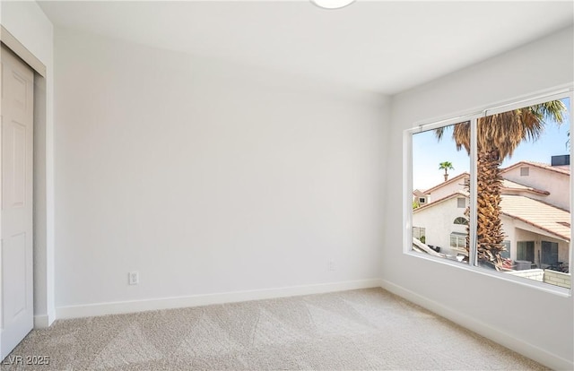 interior space featuring carpet flooring and a closet