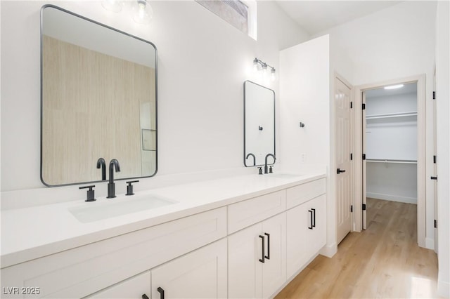 bathroom with wood-type flooring and vanity