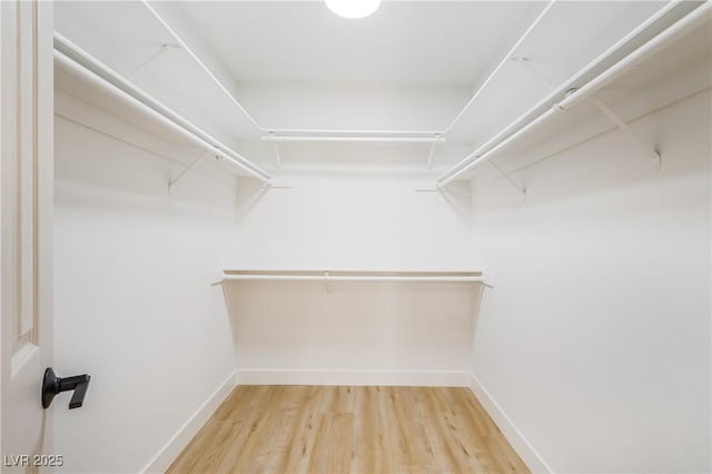 spacious closet with hardwood / wood-style flooring