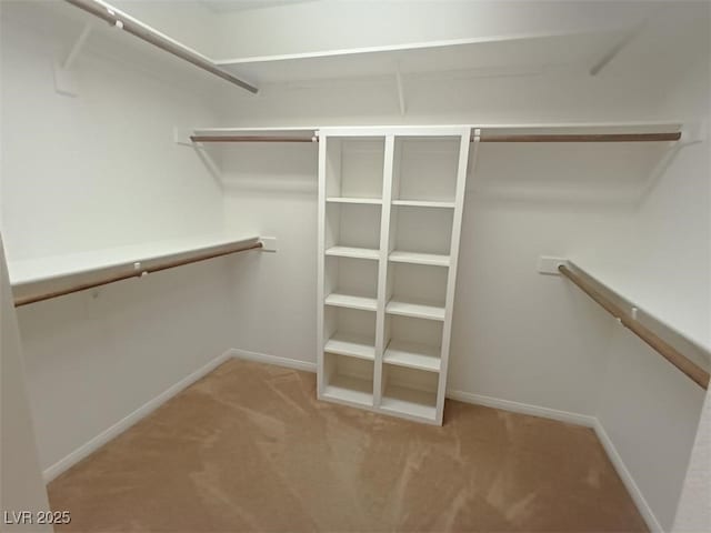 walk in closet with light colored carpet