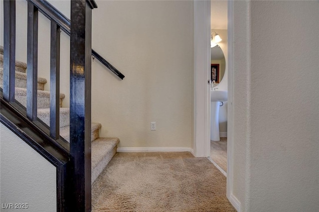 staircase with carpet