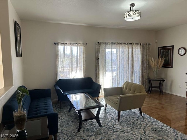 living room featuring hardwood / wood-style flooring