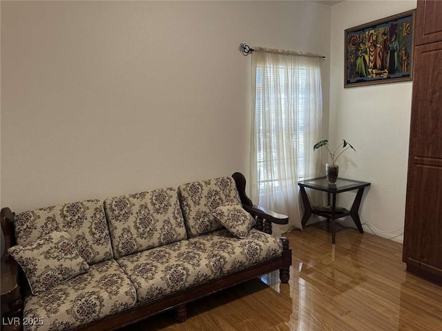 living room featuring light hardwood / wood-style floors