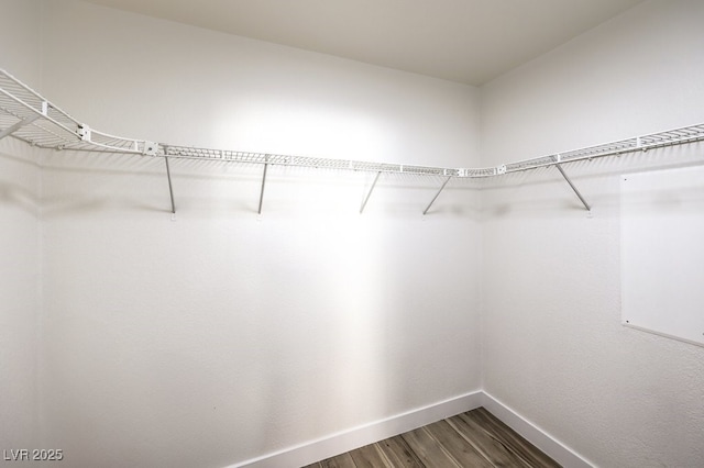 spacious closet featuring wood-type flooring