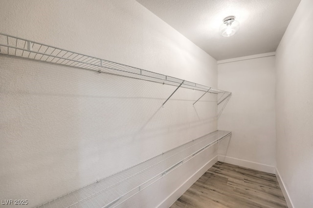 spacious closet featuring hardwood / wood-style flooring