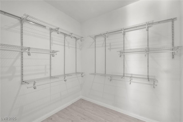 spacious closet with hardwood / wood-style flooring