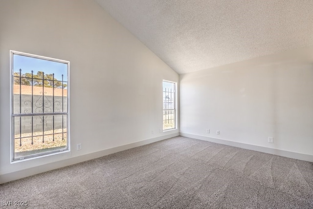 carpeted spare room featuring high vaulted ceiling and a textured ceiling