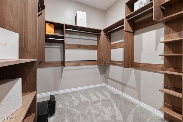 spacious closet featuring carpet flooring