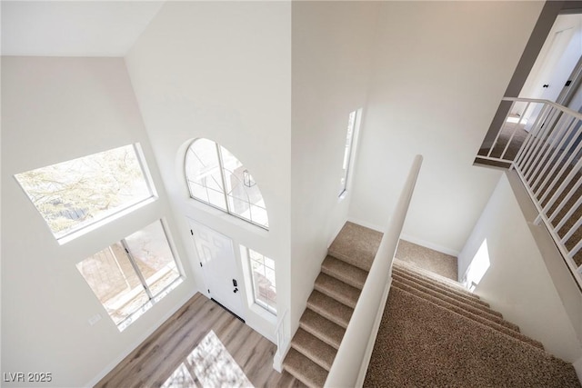 staircase featuring a towering ceiling and wood-type flooring