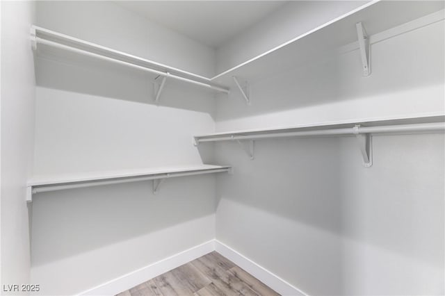 spacious closet featuring wood finished floors