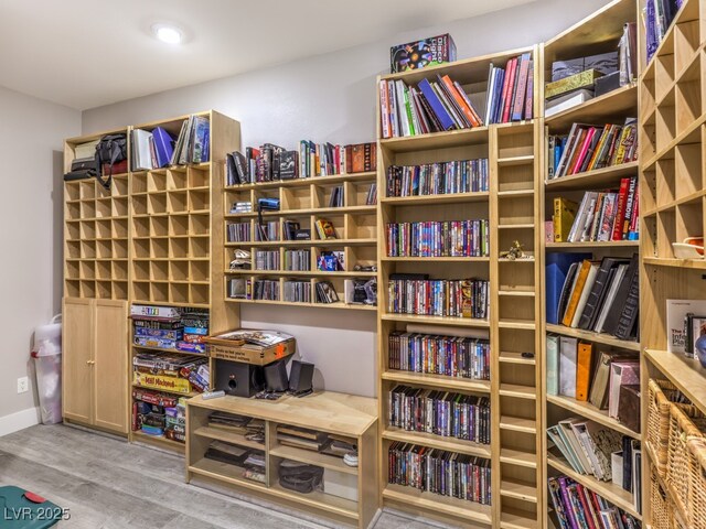 living area featuring wood-type flooring