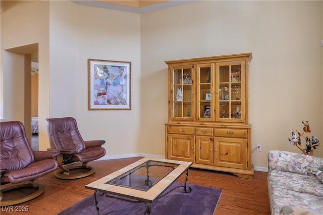 sitting room featuring a high ceiling and dark wood-type flooring