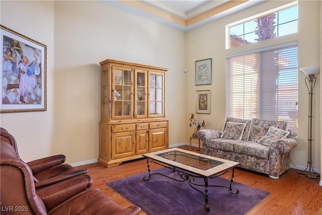 living room featuring a high ceiling and light wood-type flooring