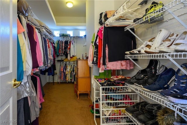 walk in closet featuring carpet flooring