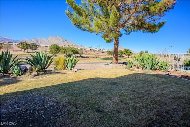 view of yard featuring a mountain view