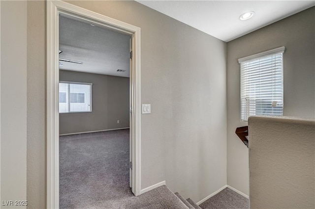 hall with carpet and plenty of natural light