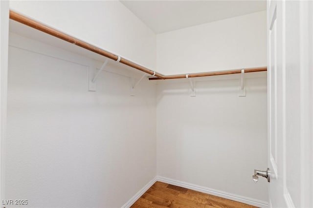 spacious closet with hardwood / wood-style floors