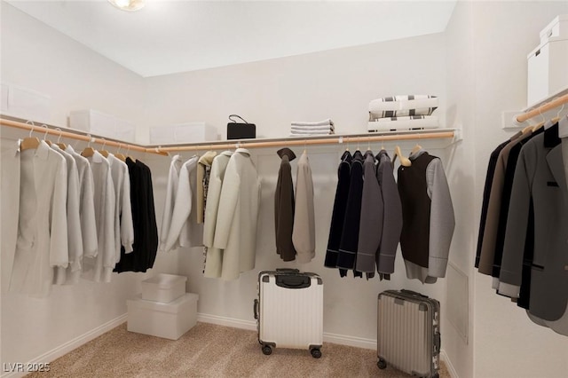 walk in closet with radiator and light carpet