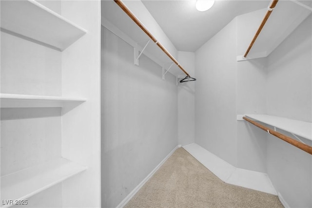 spacious closet featuring carpet floors