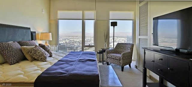 bedroom featuring carpet