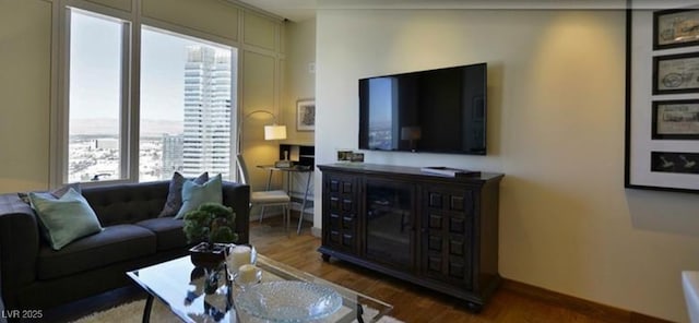 living room with wood-type flooring