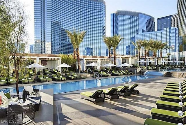 view of pool featuring a patio