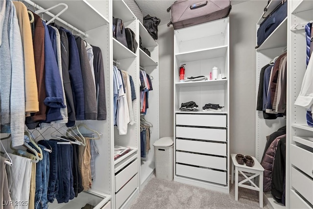 walk in closet featuring light carpet