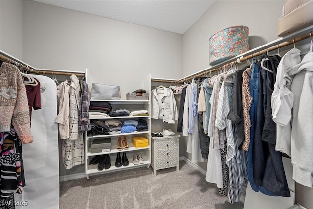 spacious closet with carpet