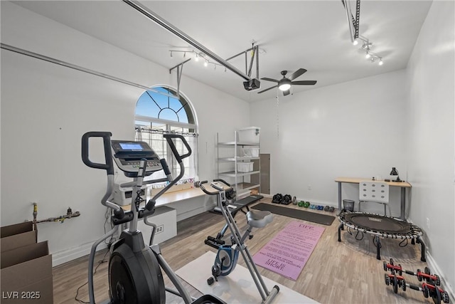 exercise area with hardwood / wood-style flooring and ceiling fan