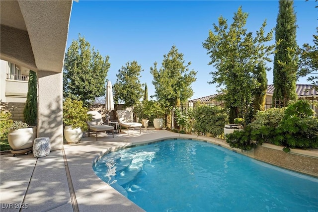 view of pool featuring a patio area