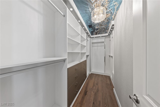 spacious closet with dark wood-type flooring and a notable chandelier