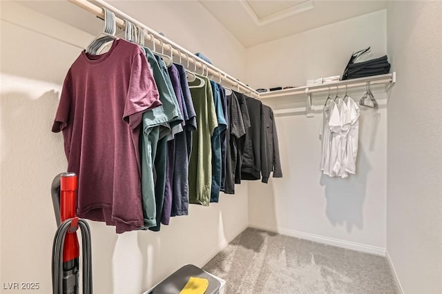 spacious closet featuring light carpet