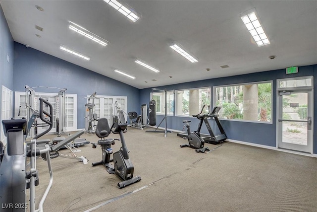 workout area with lofted ceiling